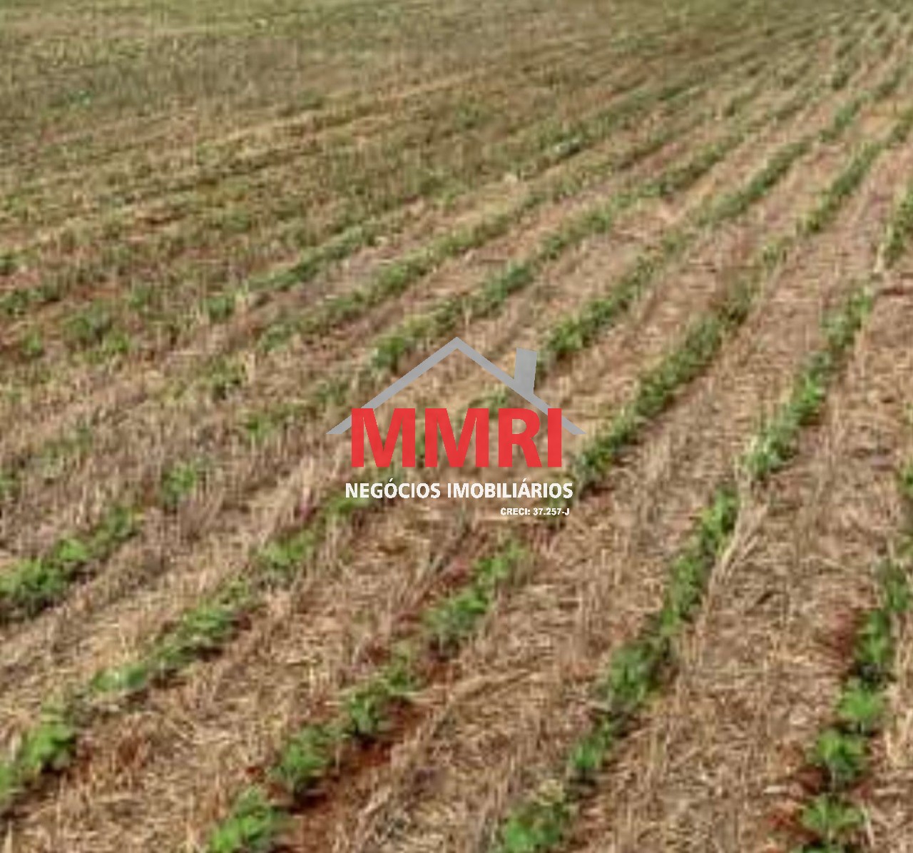 Fazenda, 653 m² - Foto 2