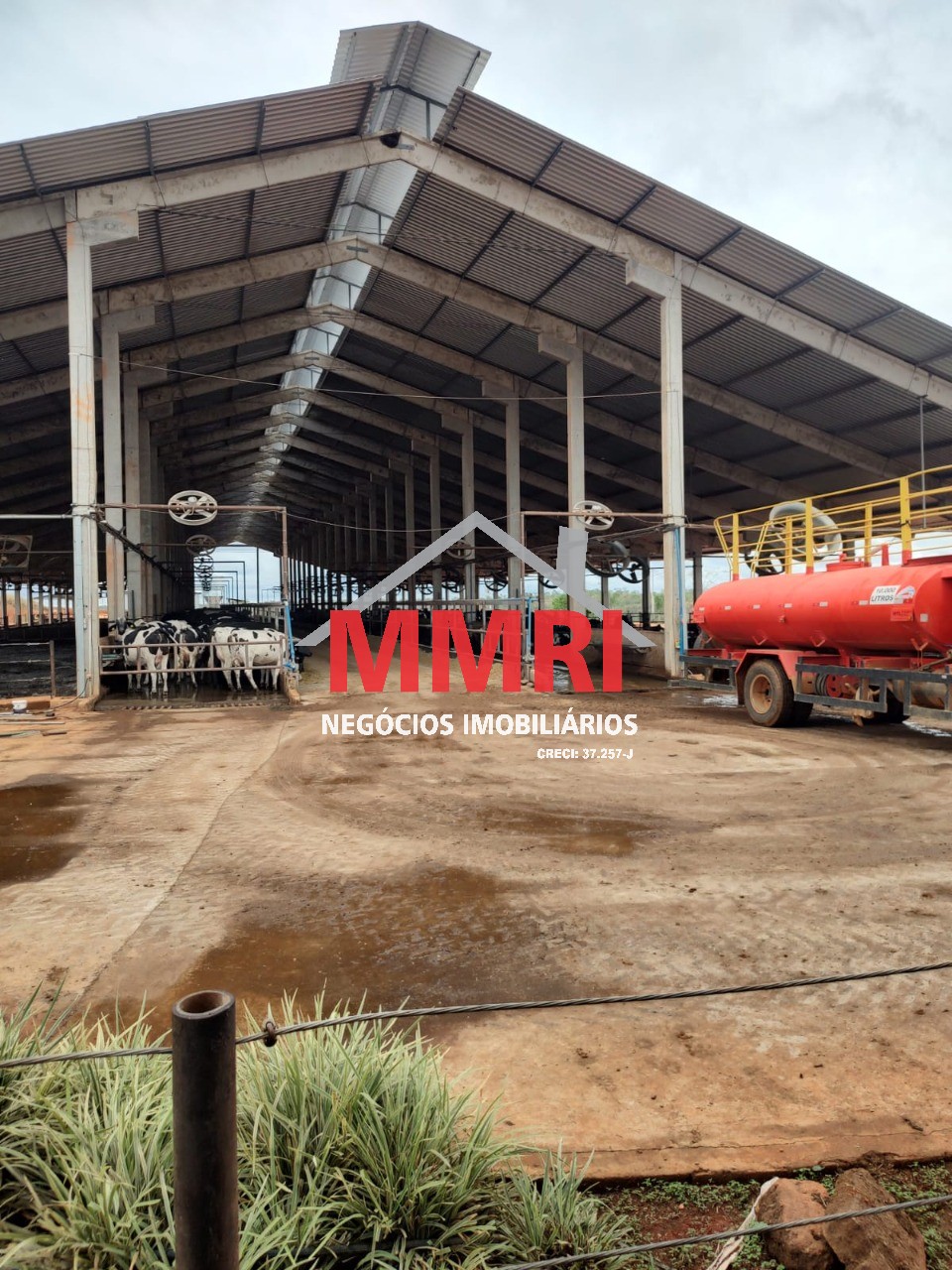 Fazenda, 800 m² - Foto 4