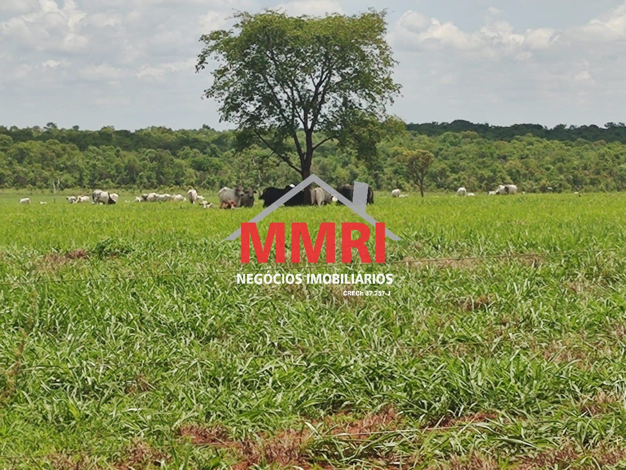 Fazenda, 3100 m² - Foto 24