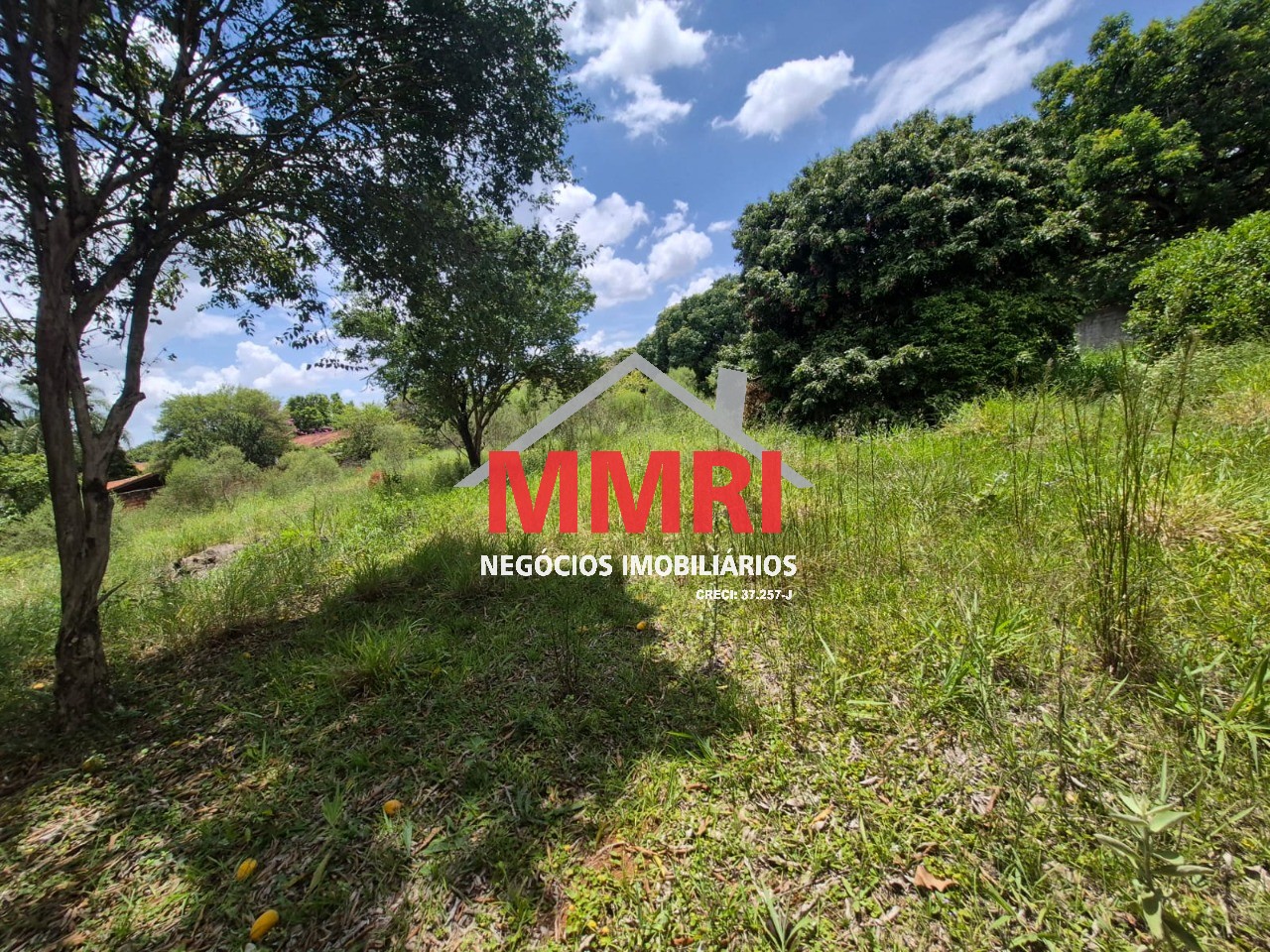 Terreno, 5000 m² - Foto 4