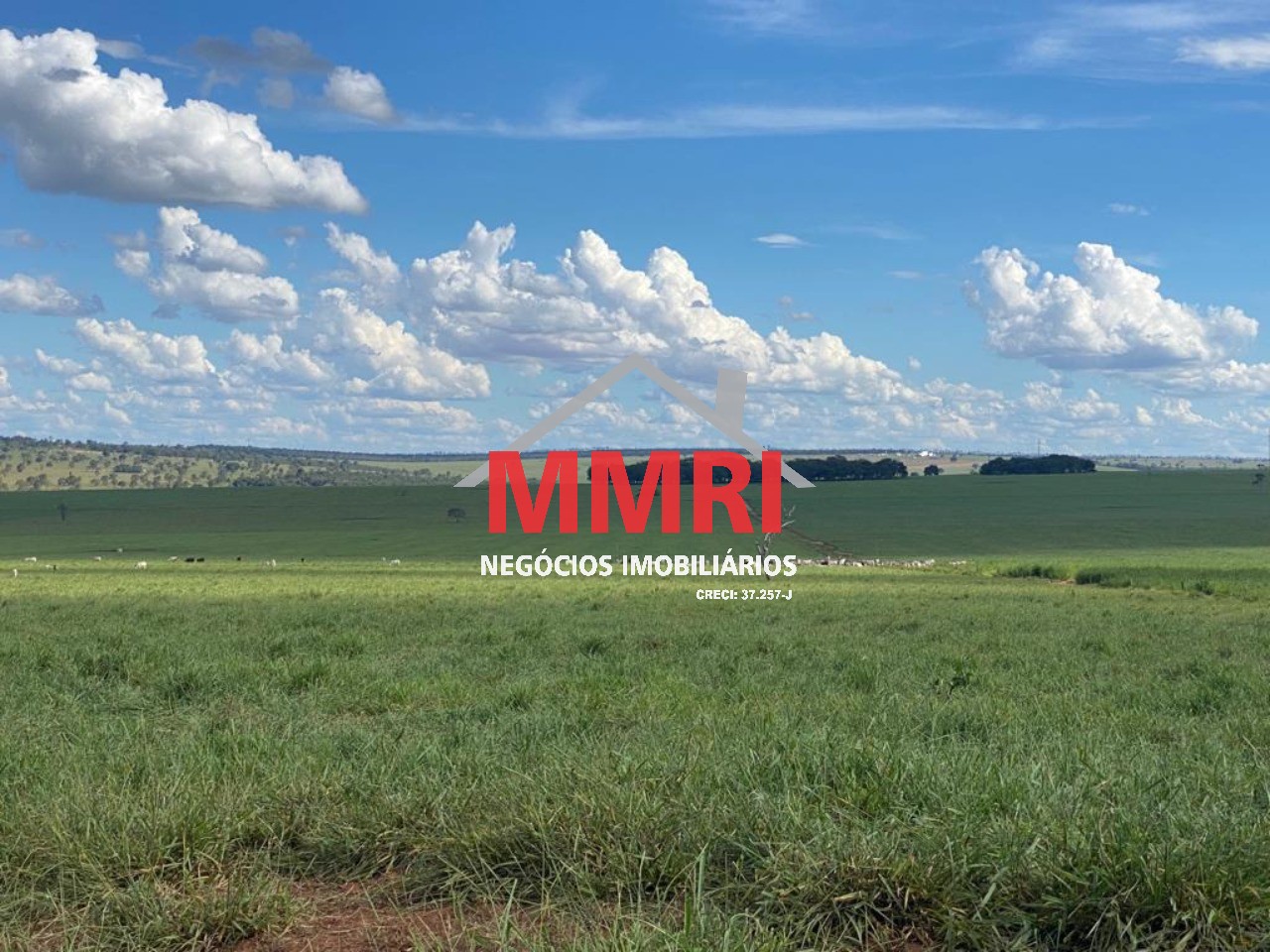 Fazenda, 3100 m² - Foto 40