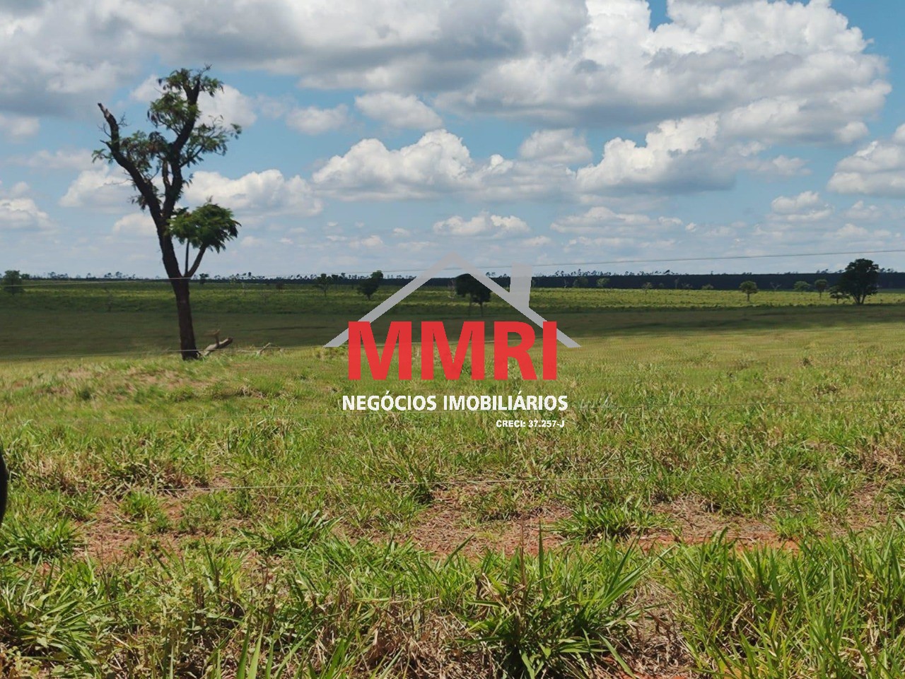 Fazenda, 3100 m² - Foto 7