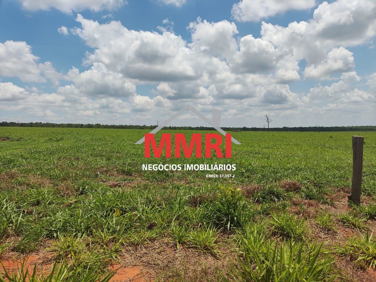 Fazenda, 3100 m² - Foto 13