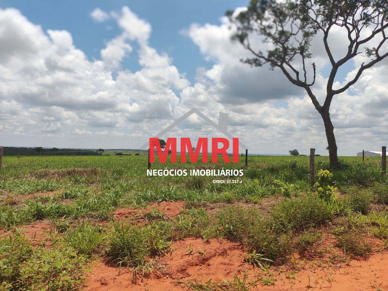 Fazenda, 3100 m² - Foto 19