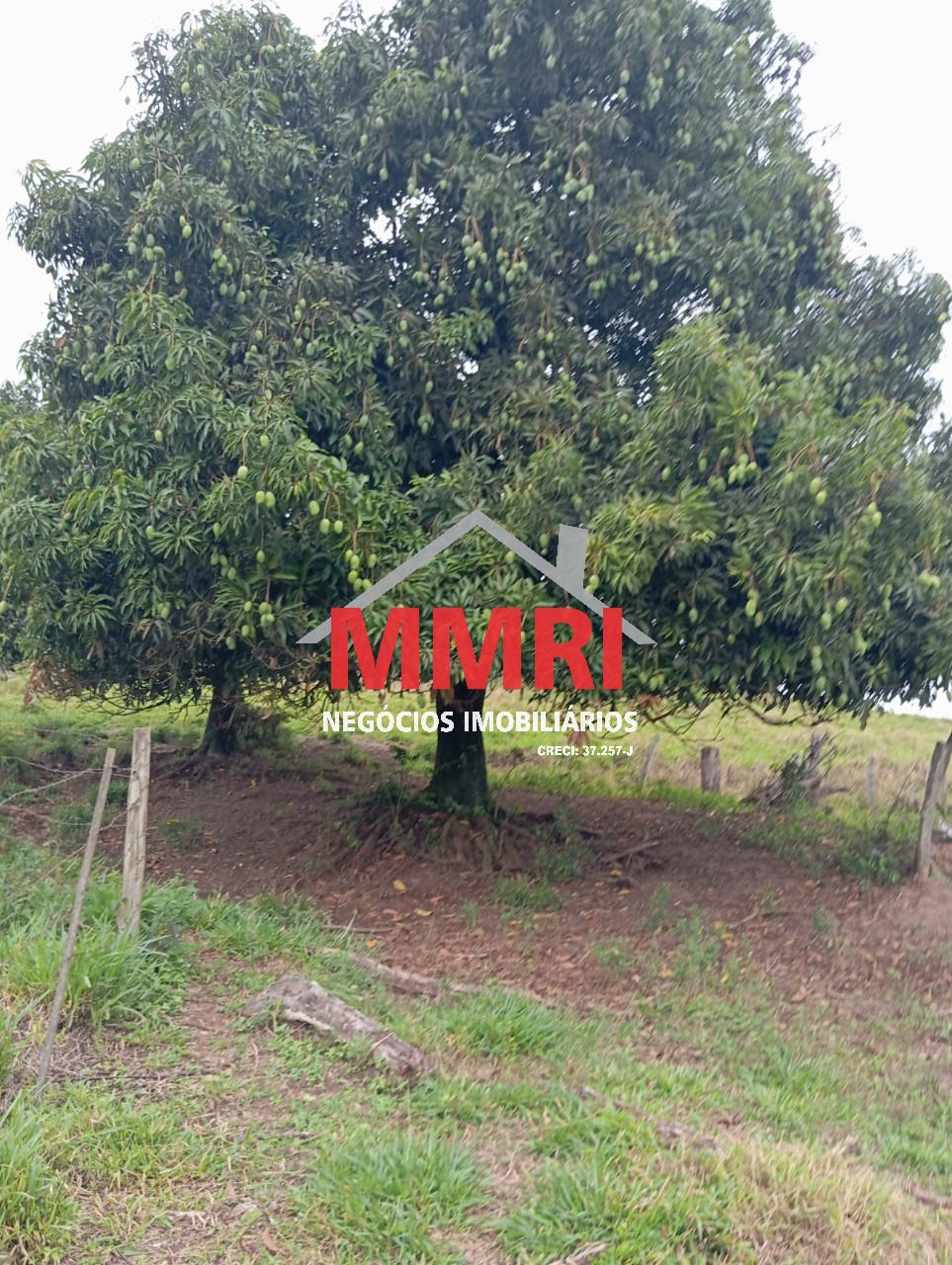 Fazenda, 653 m² - Foto 11