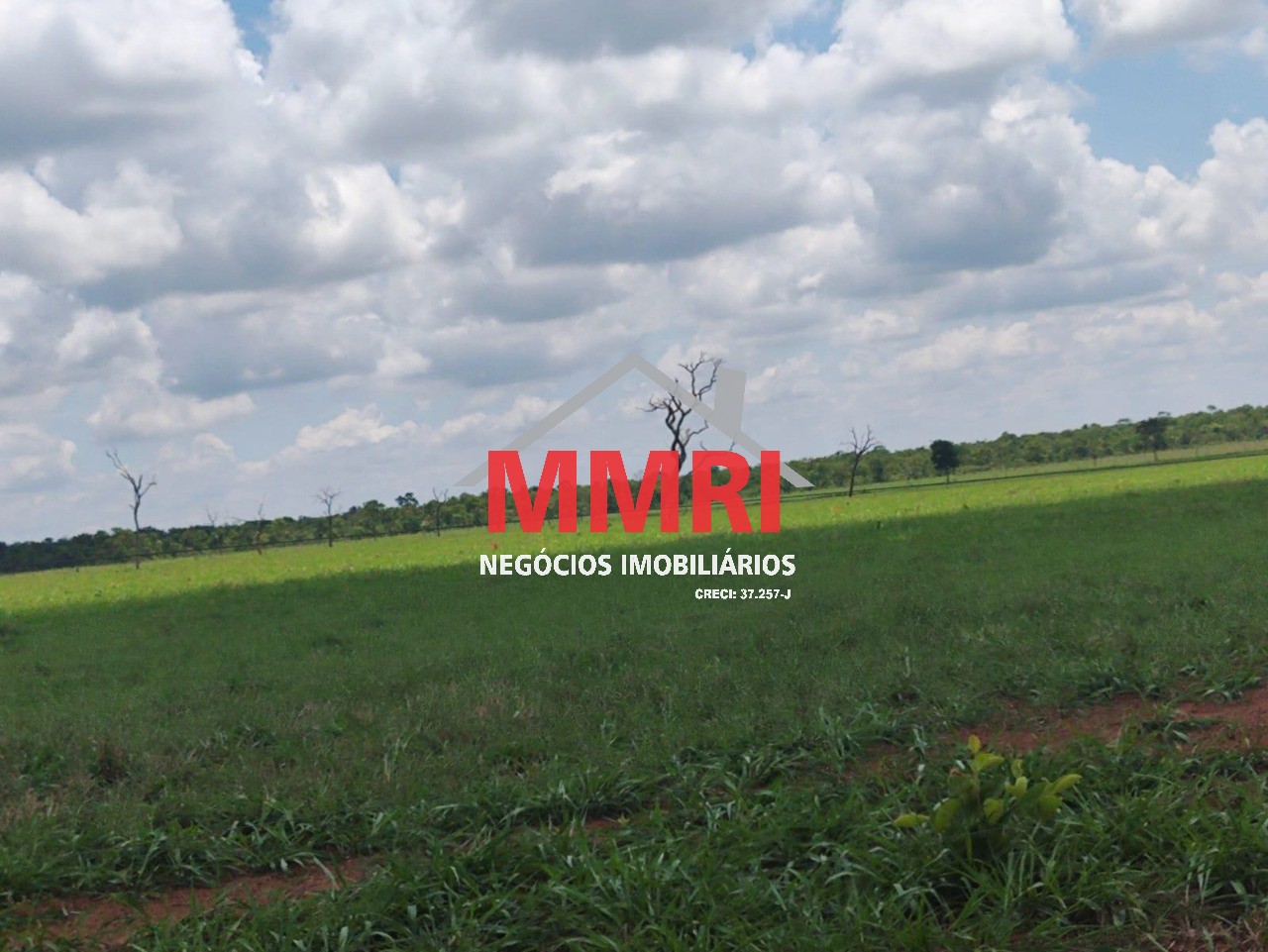 Fazenda, 3100 m² - Foto 10