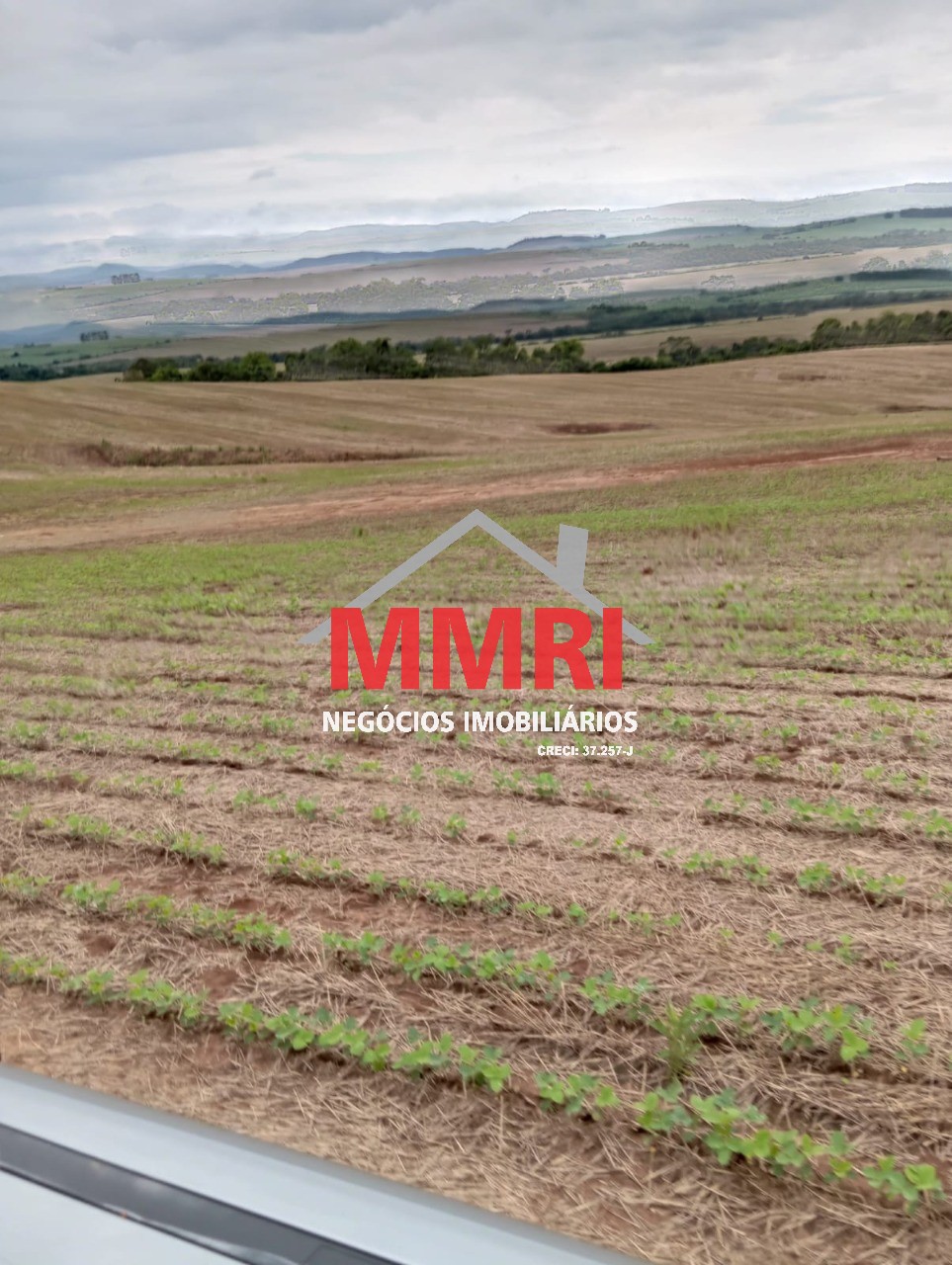 Fazenda, 653 m² - Foto 8