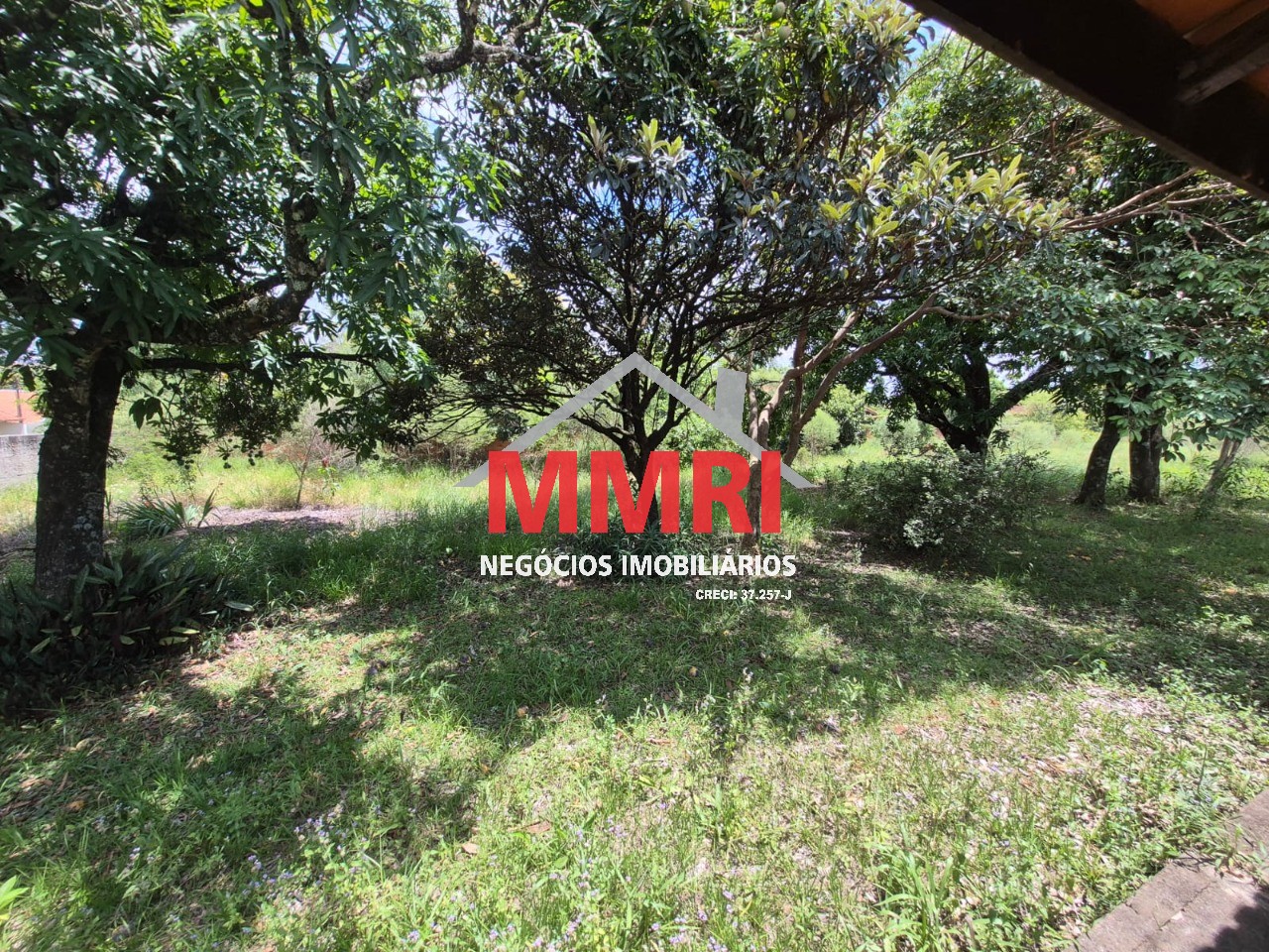 Terreno, 5000 m² - Foto 3