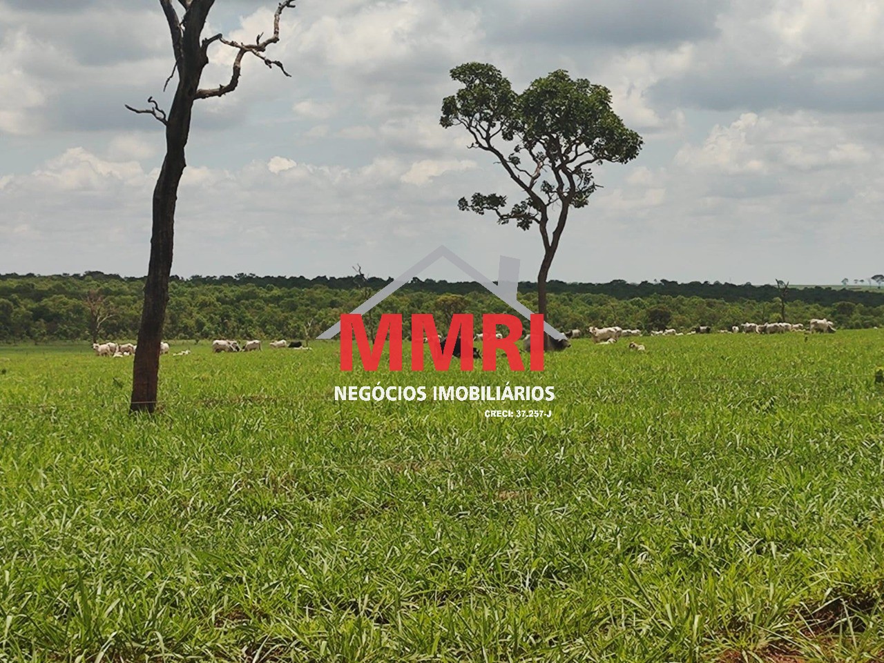 Fazenda, 3100 m² - Foto 18