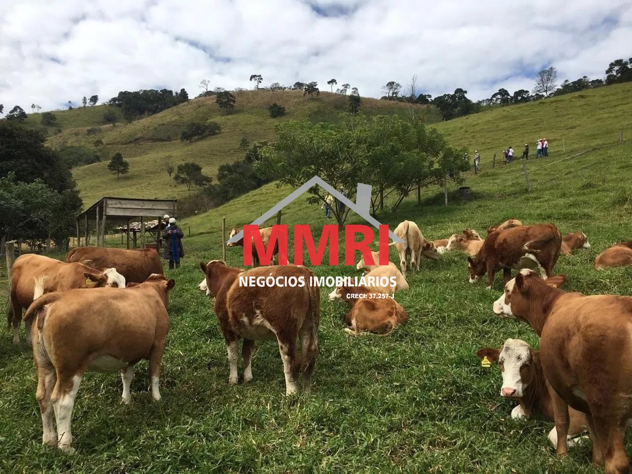 Fazenda, 453 m² - Foto 5