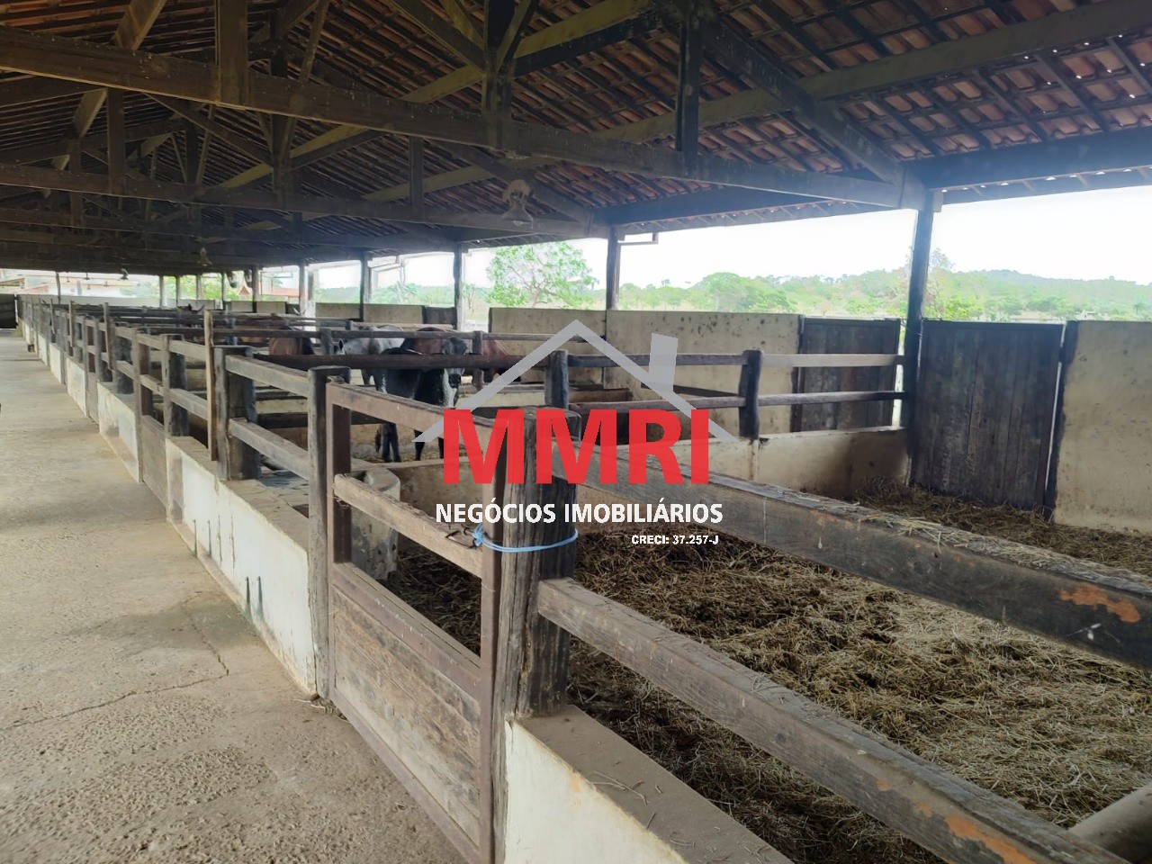 Fazenda, 800 m² - Foto 6