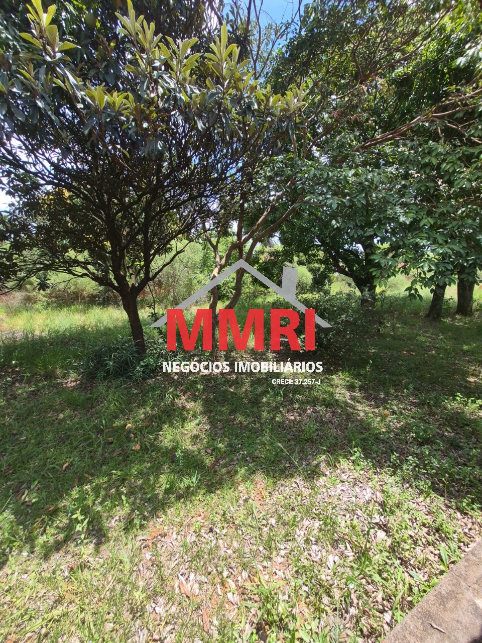 Terreno, 5000 m² - Foto 5