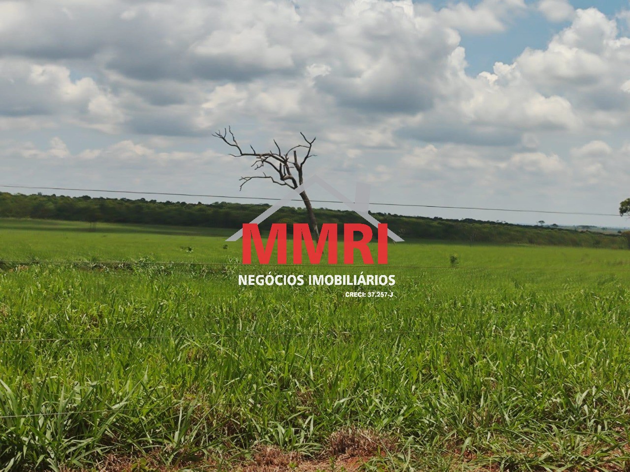 Fazenda, 3100 m² - Foto 16