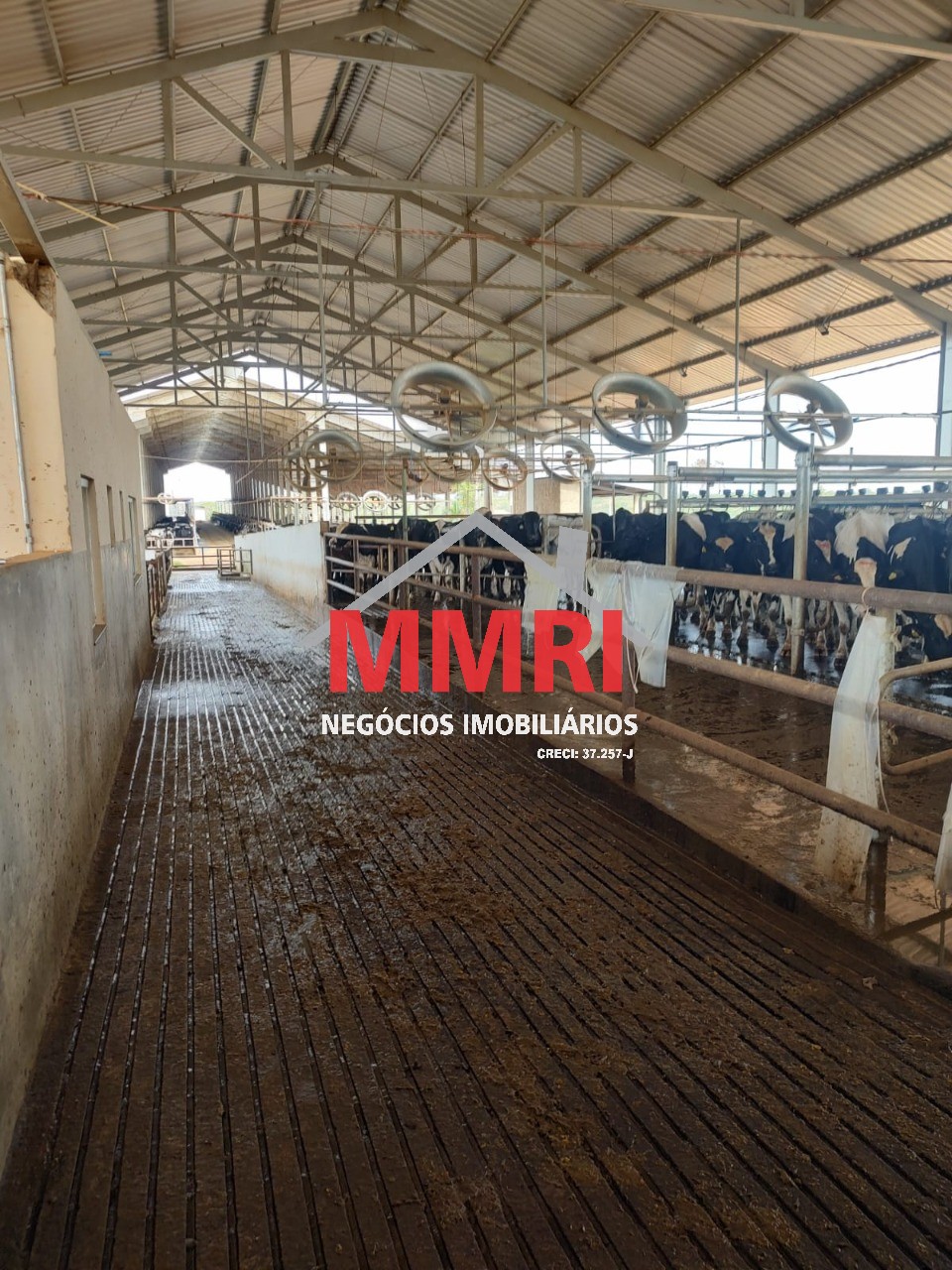 Fazenda, 800 m² - Foto 7