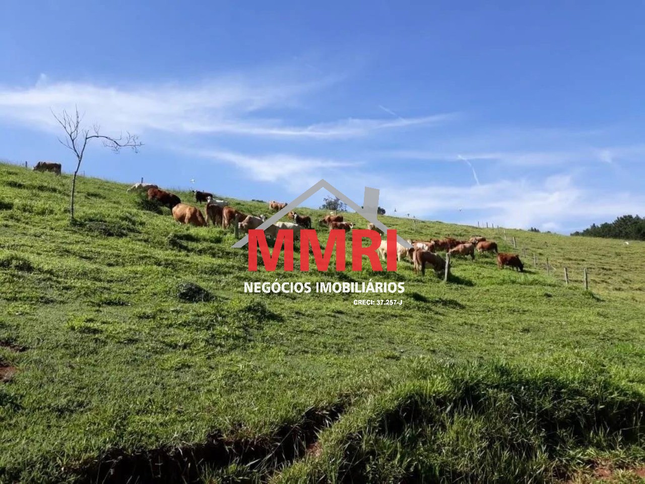 Fazenda, 453 m² - Foto 7