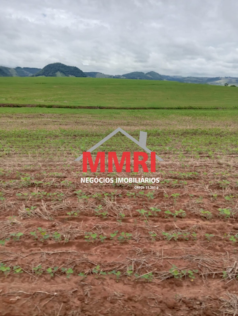 Fazenda, 653 m² - Foto 10