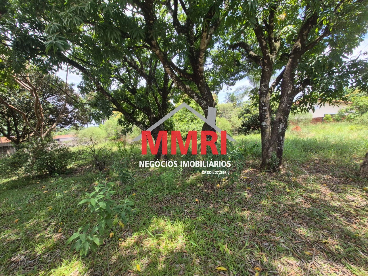 Terreno, 5000 m² - Foto 6