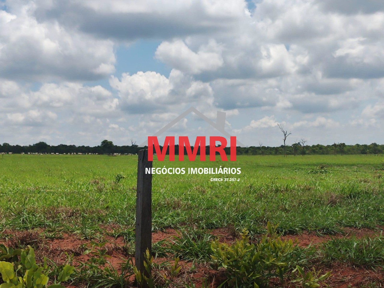 Fazenda, 3100 m² - Foto 12