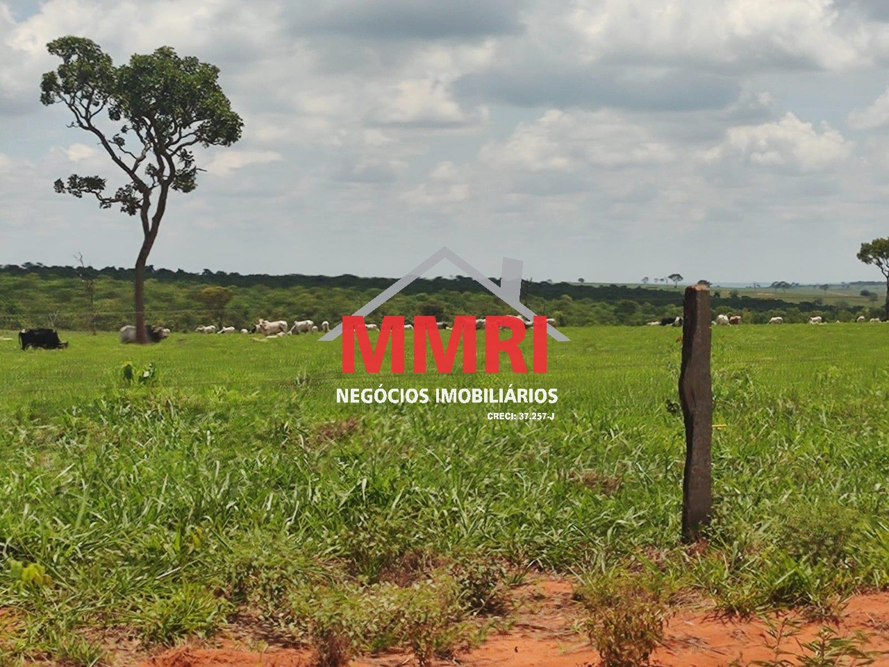 Fazenda, 3100 m² - Foto 17