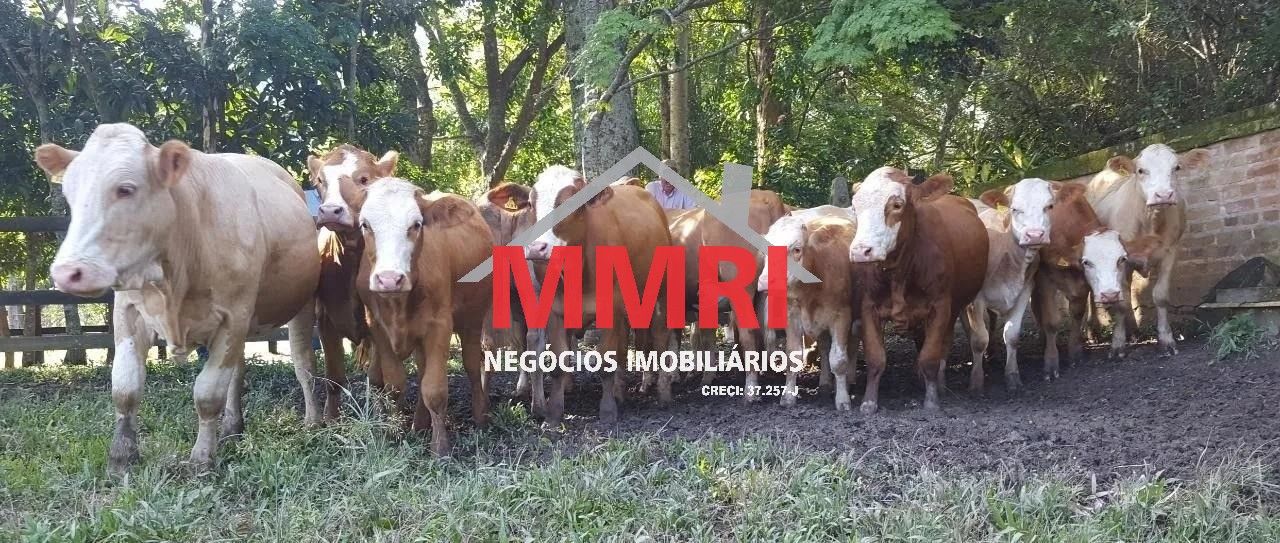 Fazenda, 453 m² - Foto 6