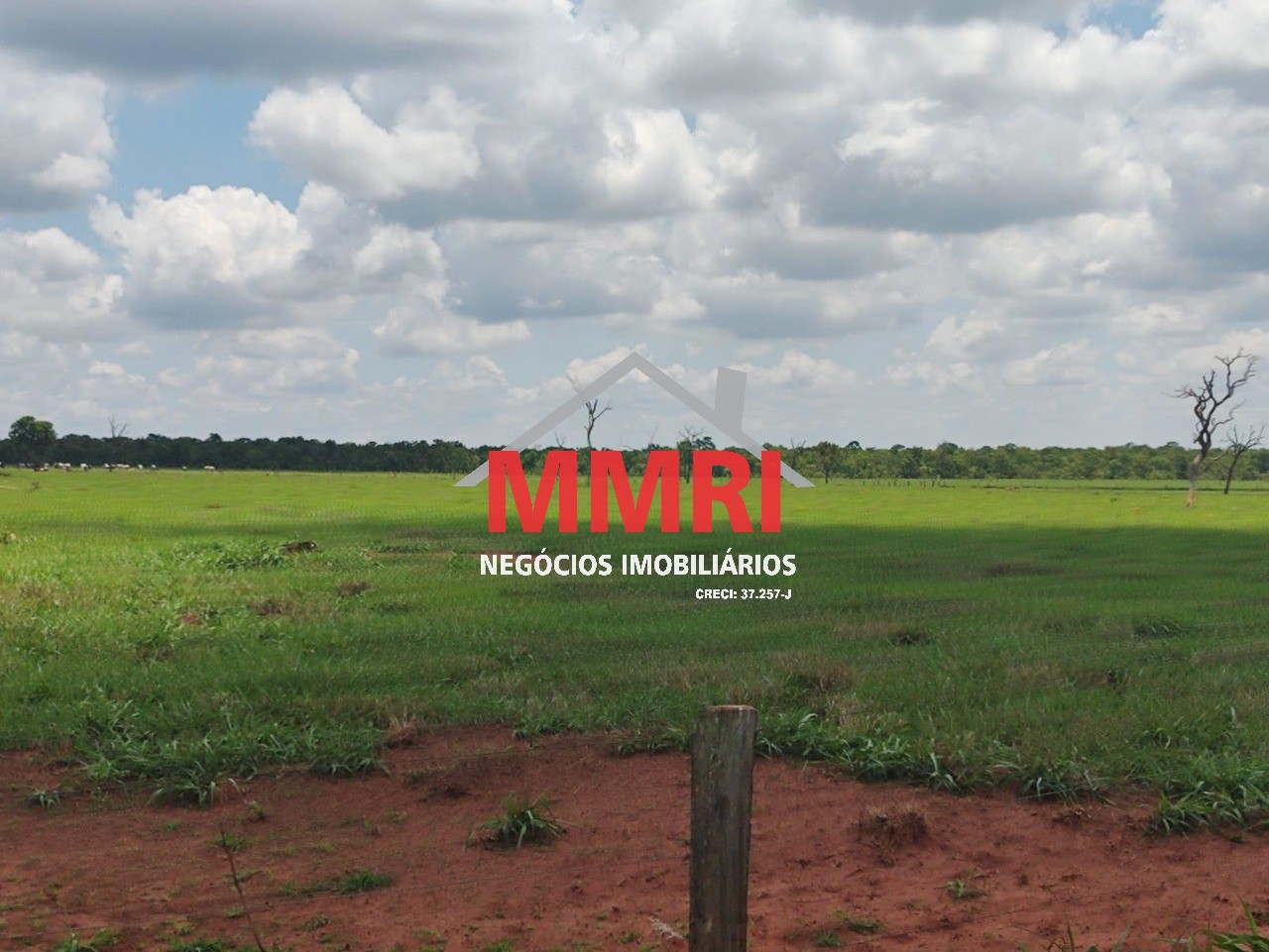 Fazenda, 3100 m² - Foto 9