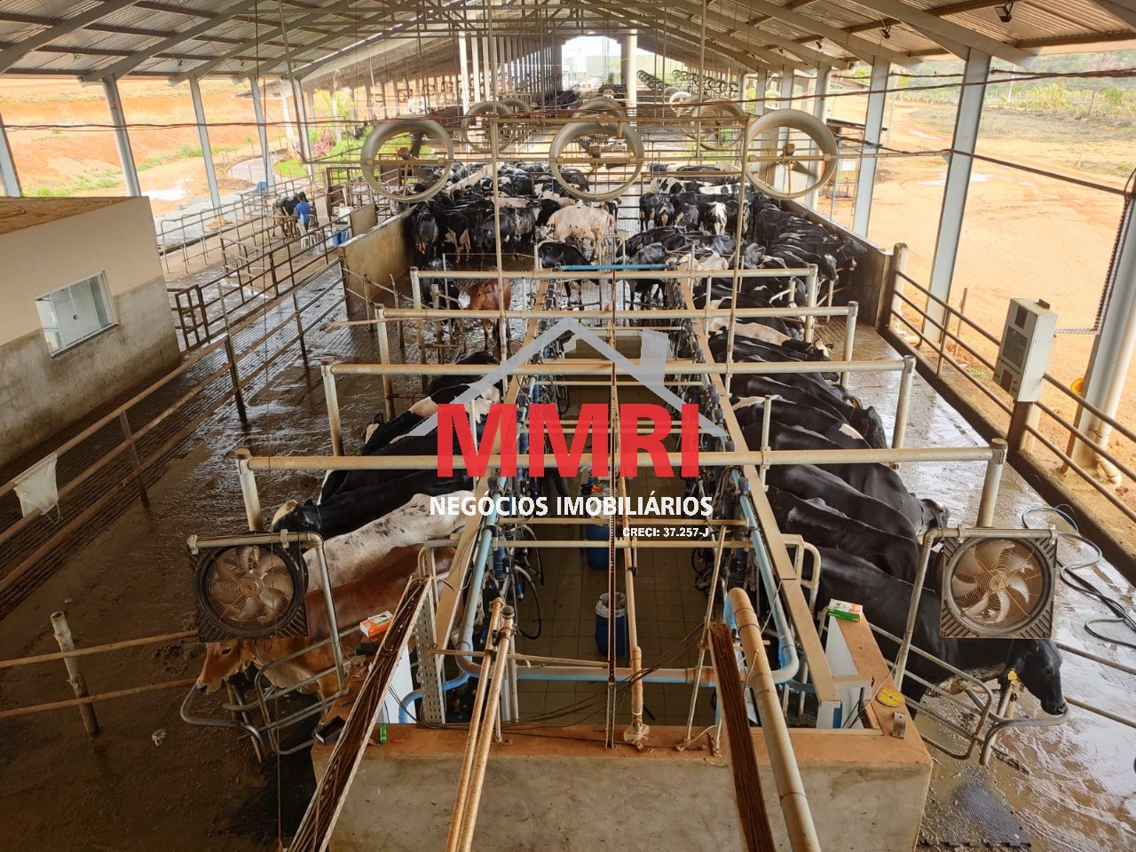 Fazenda, 800 m² - Foto 3