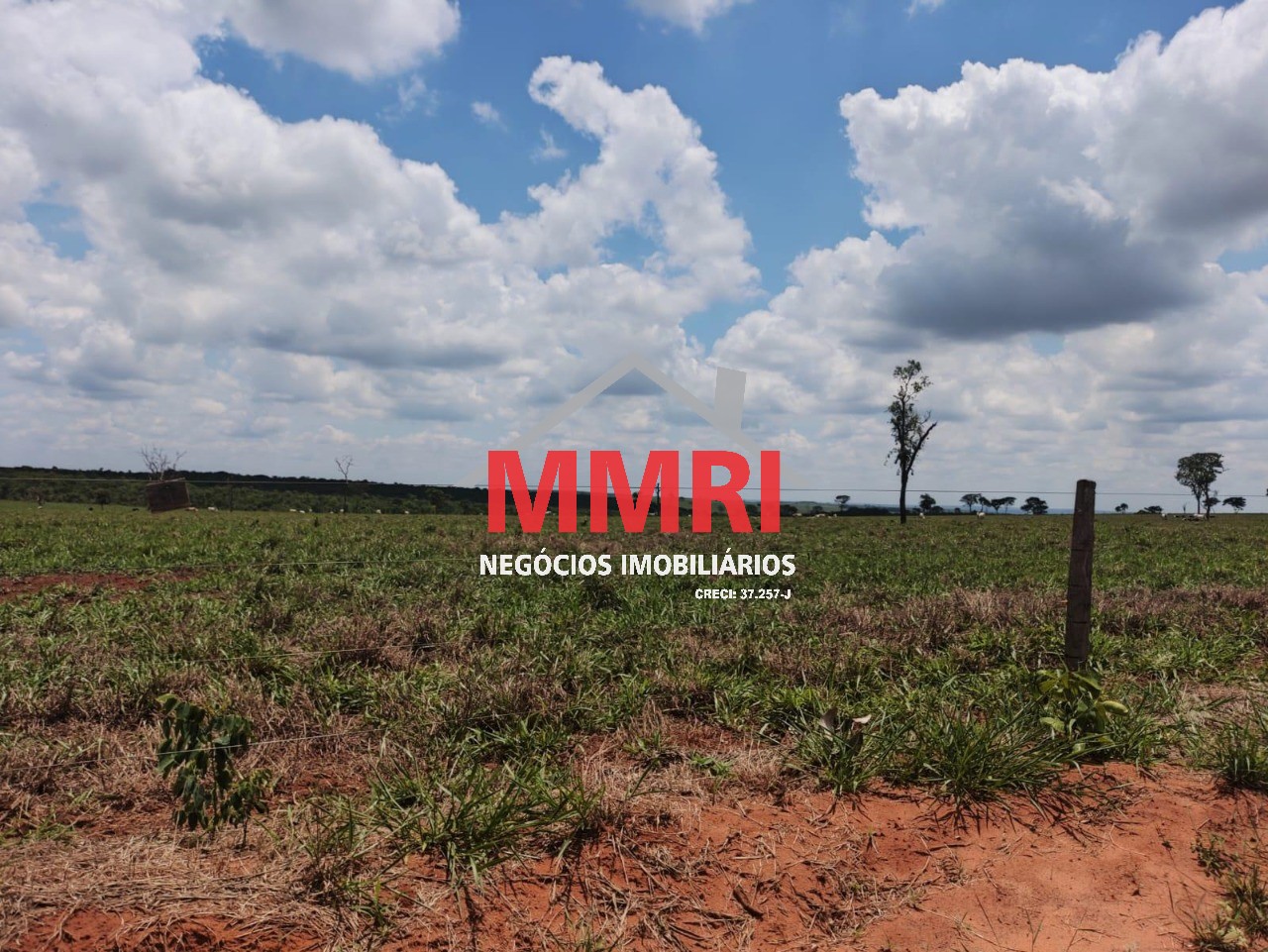 Fazenda, 3100 m² - Foto 21