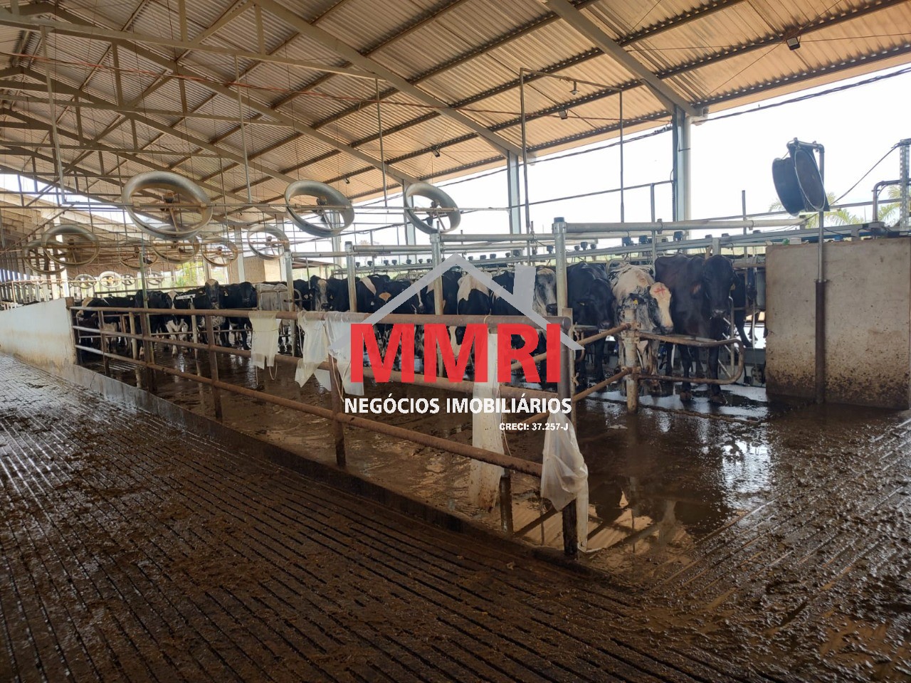 Fazenda, 800 m² - Foto 12