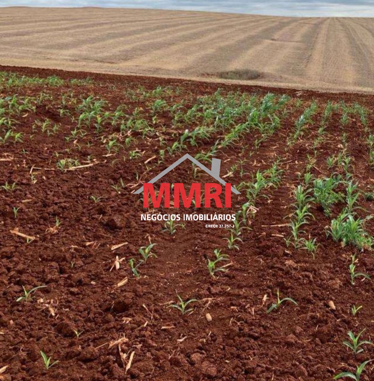 Fazenda, 653 m² - Foto 14