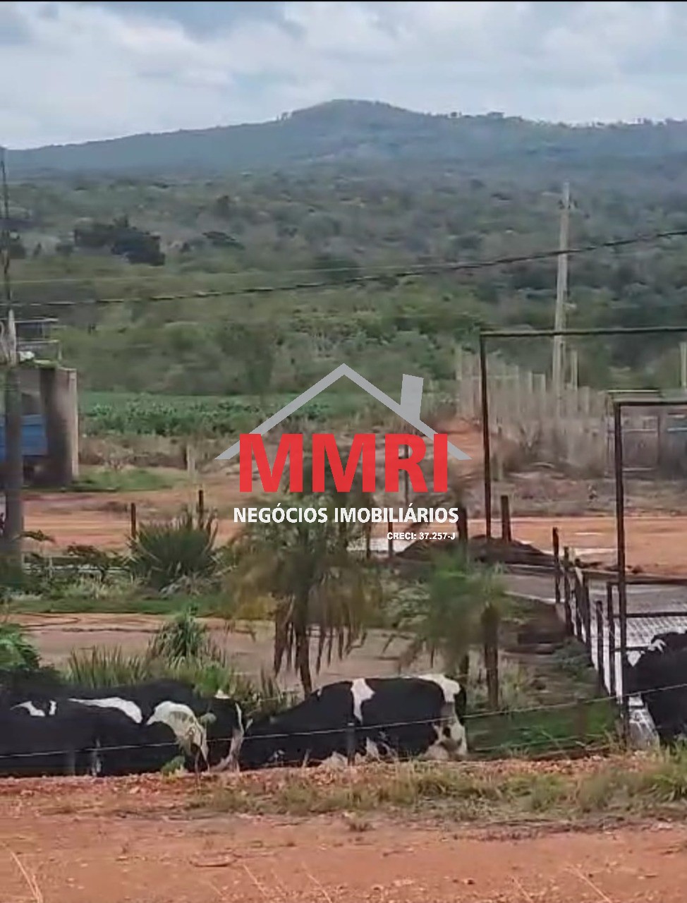 Fazenda, 800 m² - Foto 36