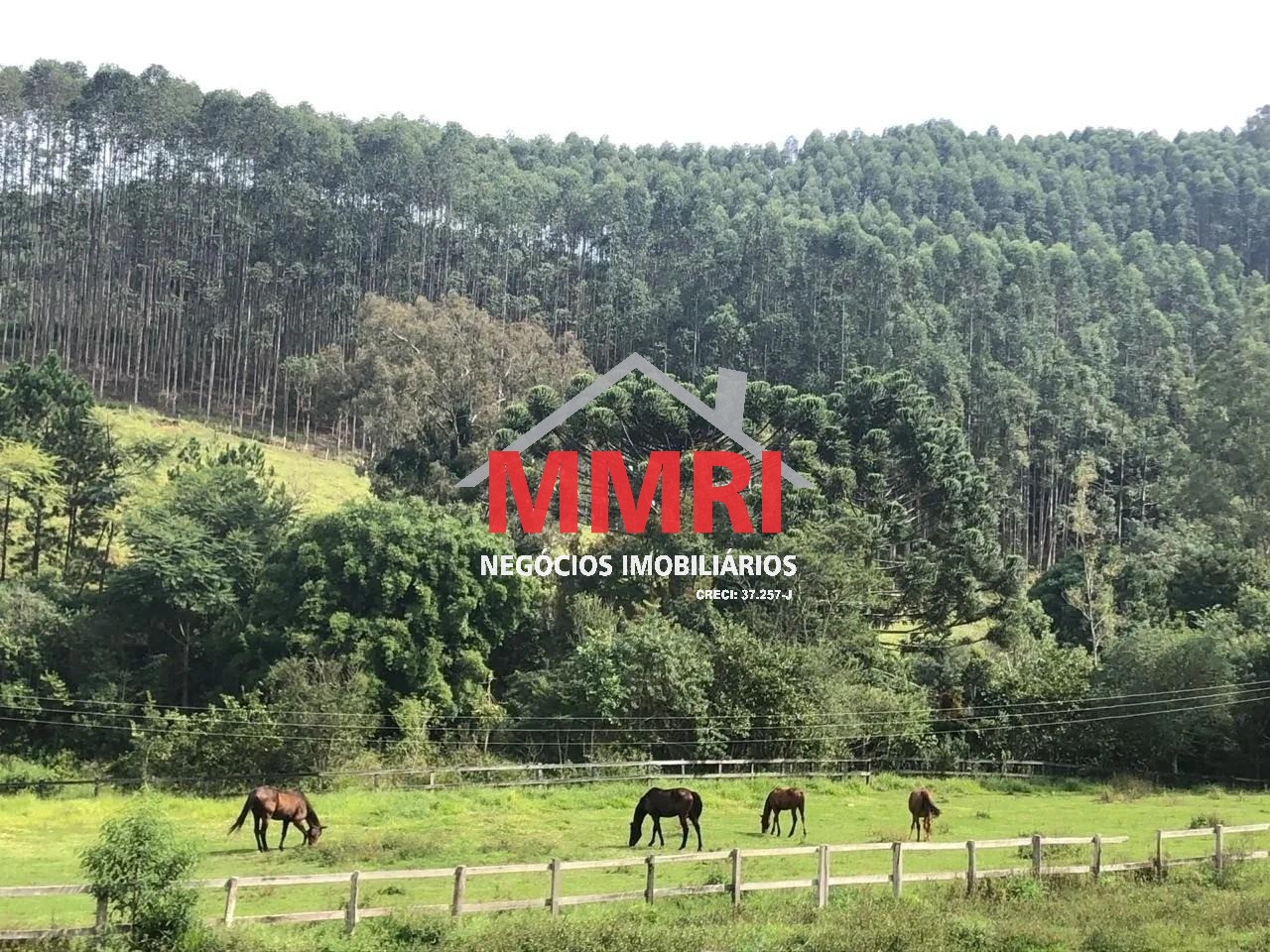 Fazenda, 453 m² - Foto 10