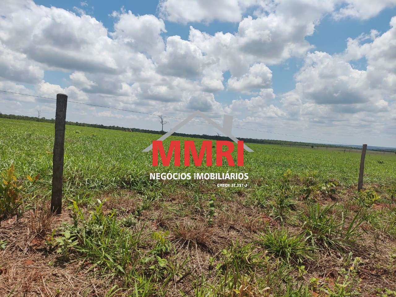 Fazenda, 3100 m² - Foto 3