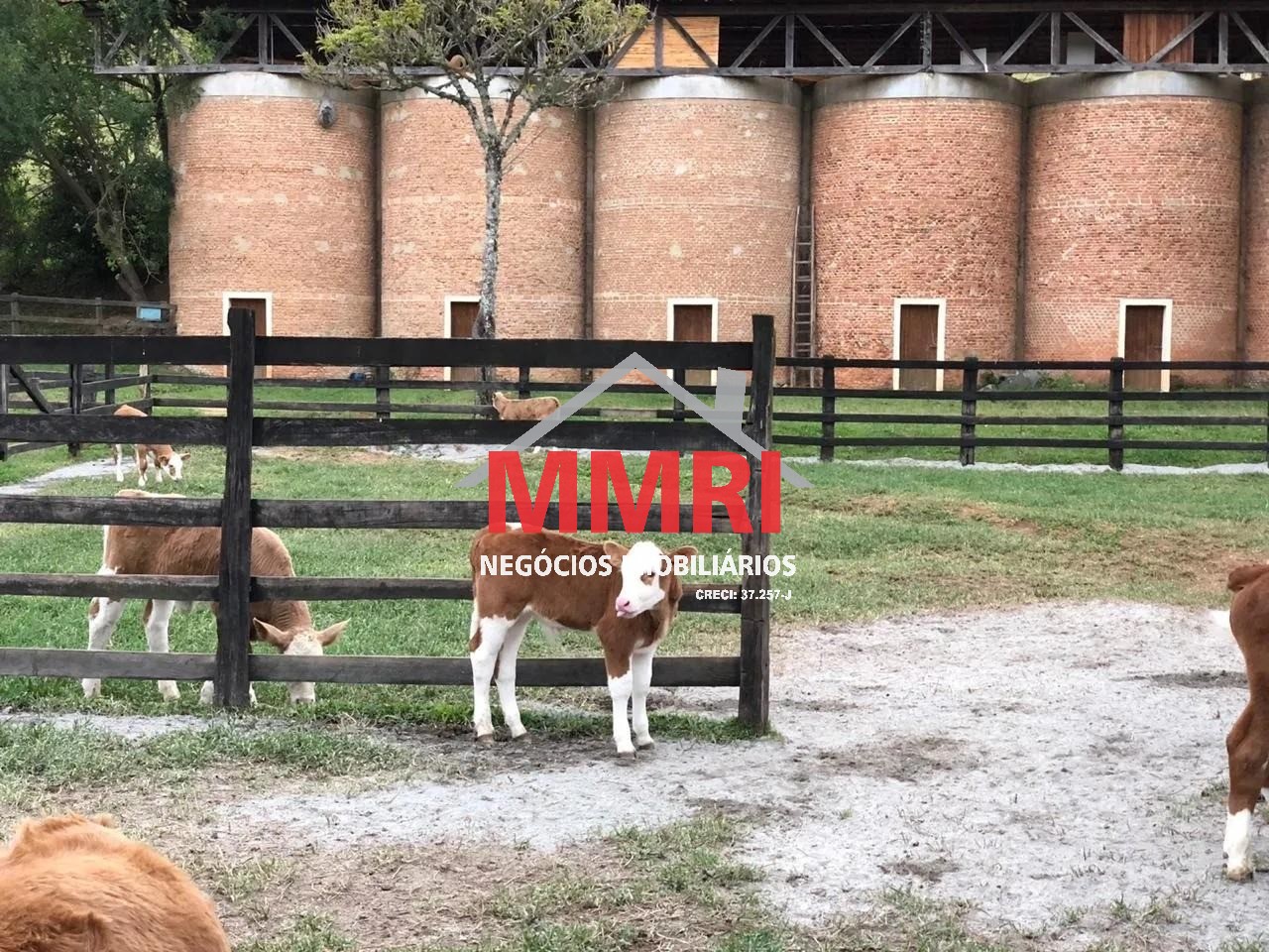 Fazenda, 453 m² - Foto 9