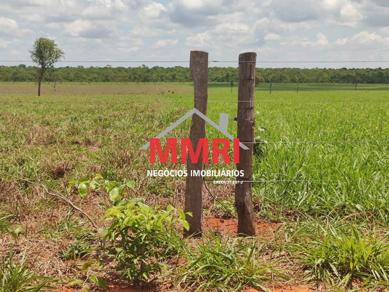 Fazenda, 3100 m² - Foto 14