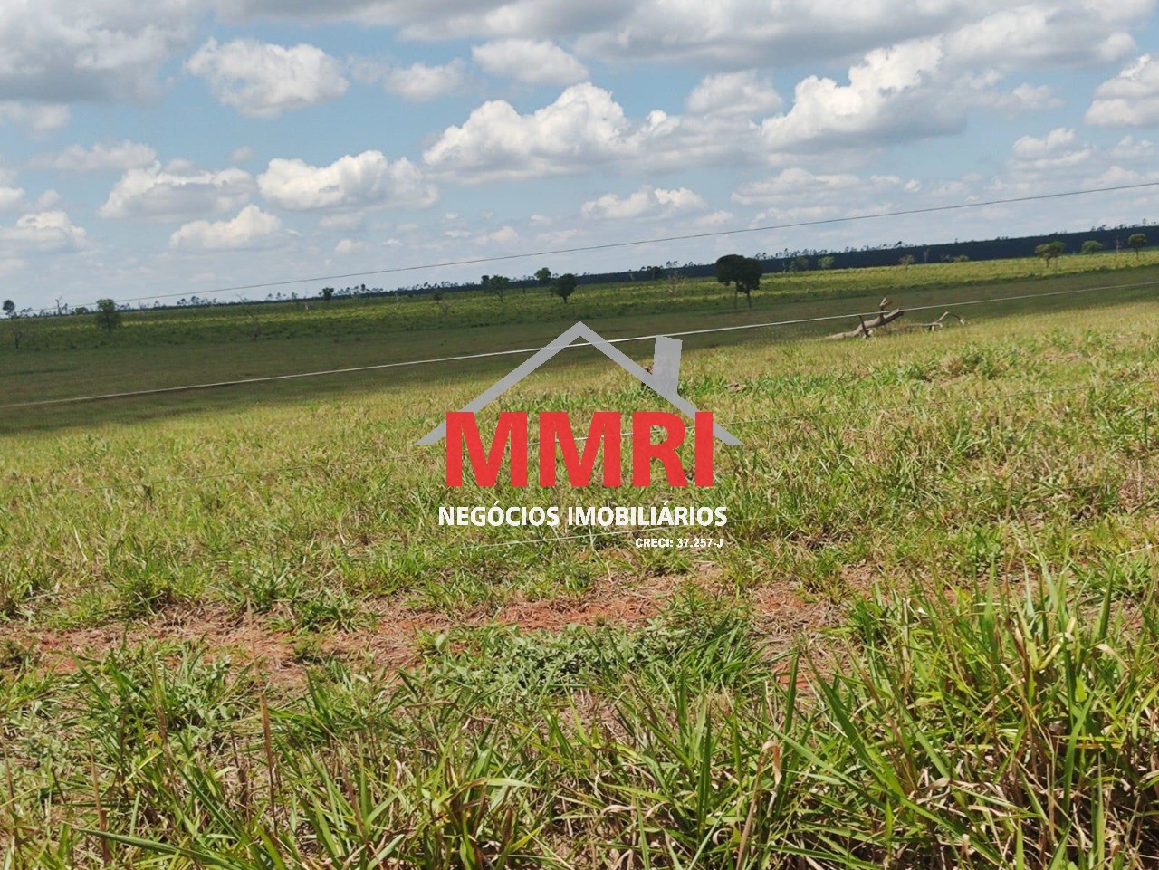 Fazenda, 3100 m² - Foto 8