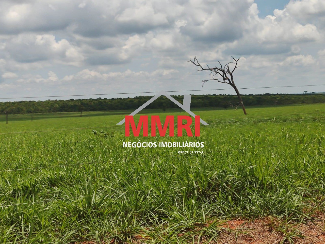 Fazenda, 3100 m² - Foto 15