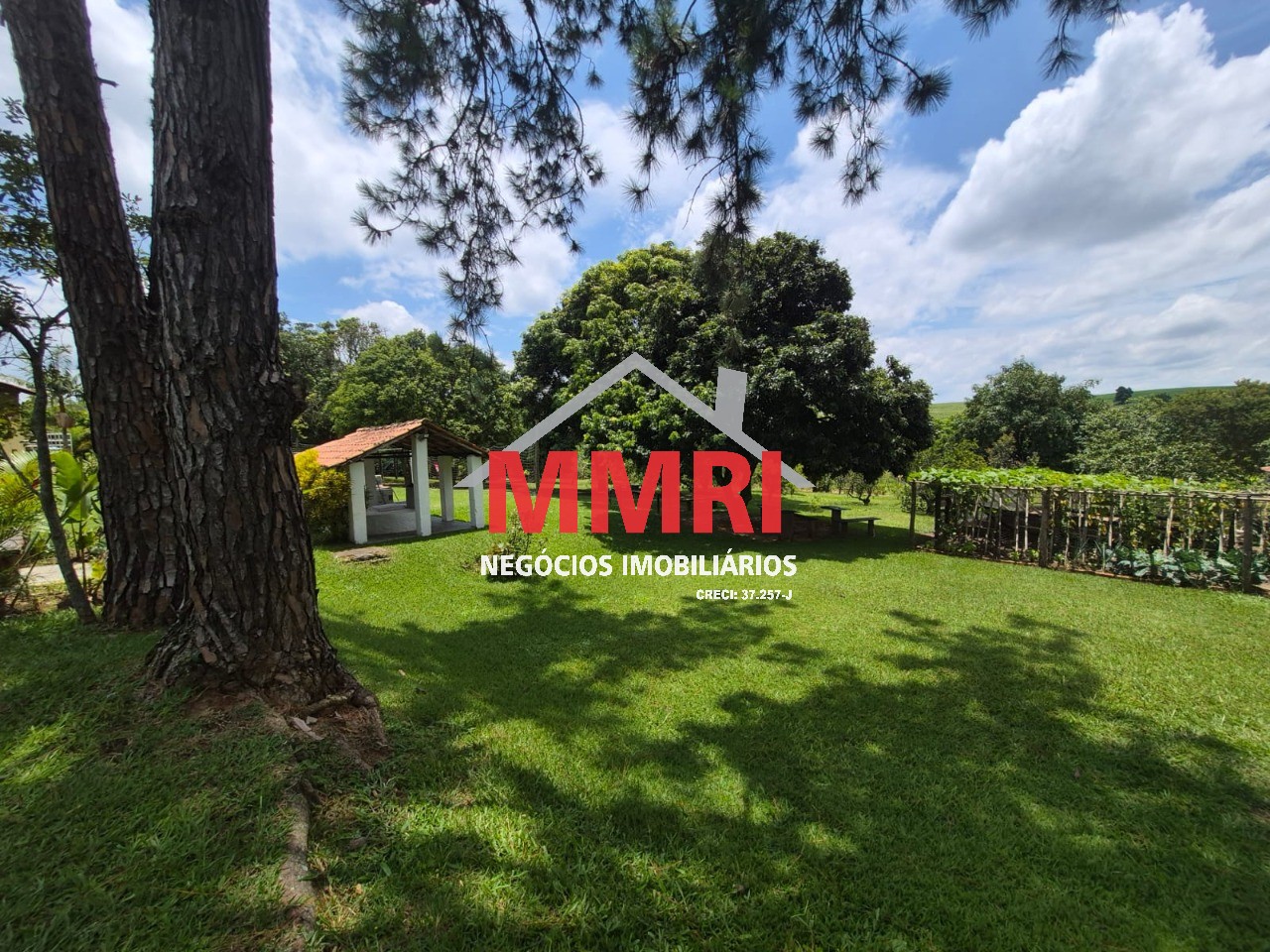 Sítio, 2 hectares - Foto 5