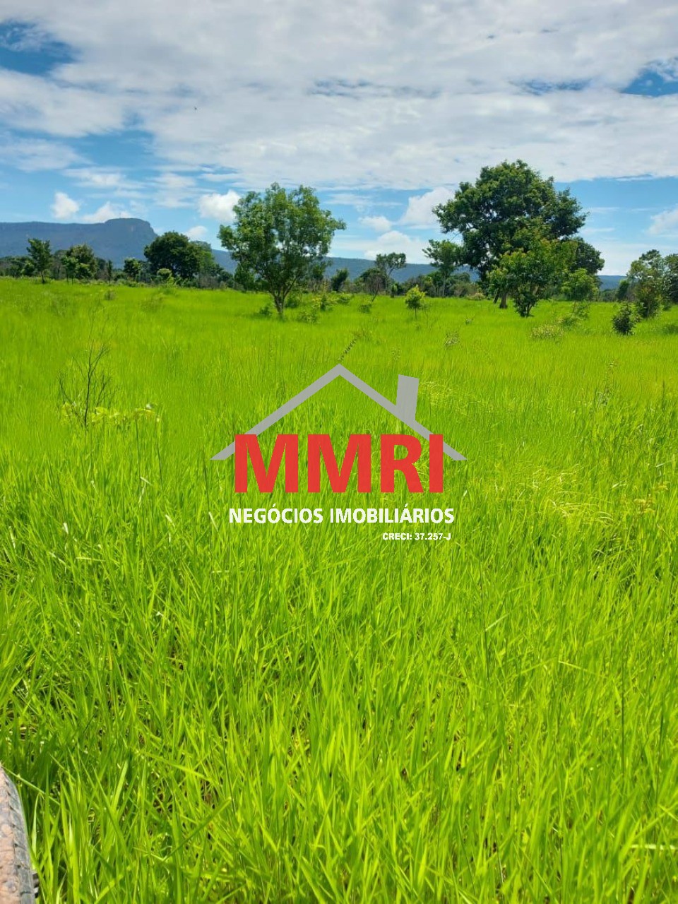 Fazenda, 512 m² - Foto 5