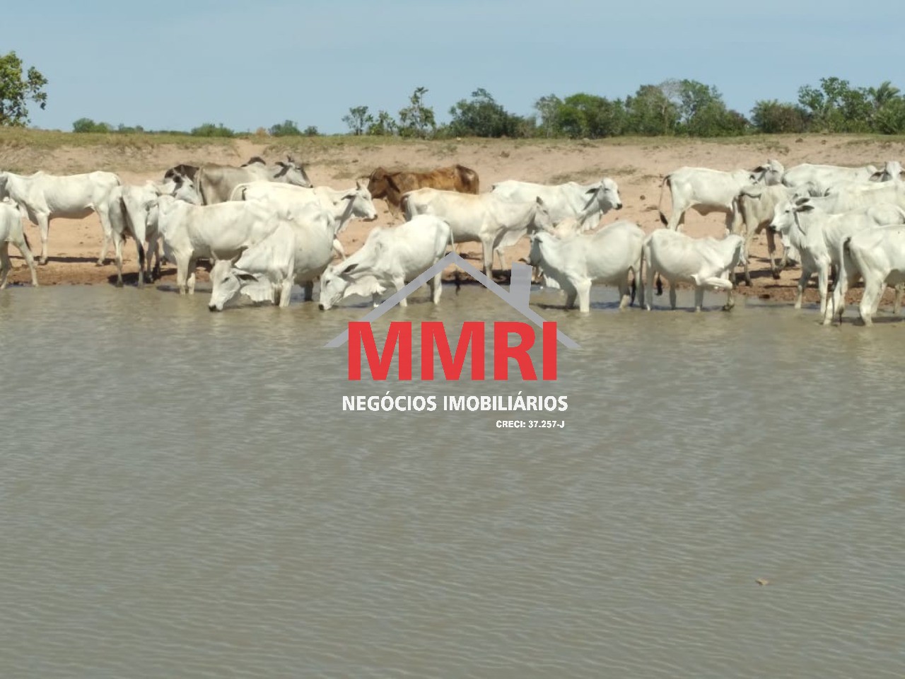 Fazenda, 8 hectares - Foto 14