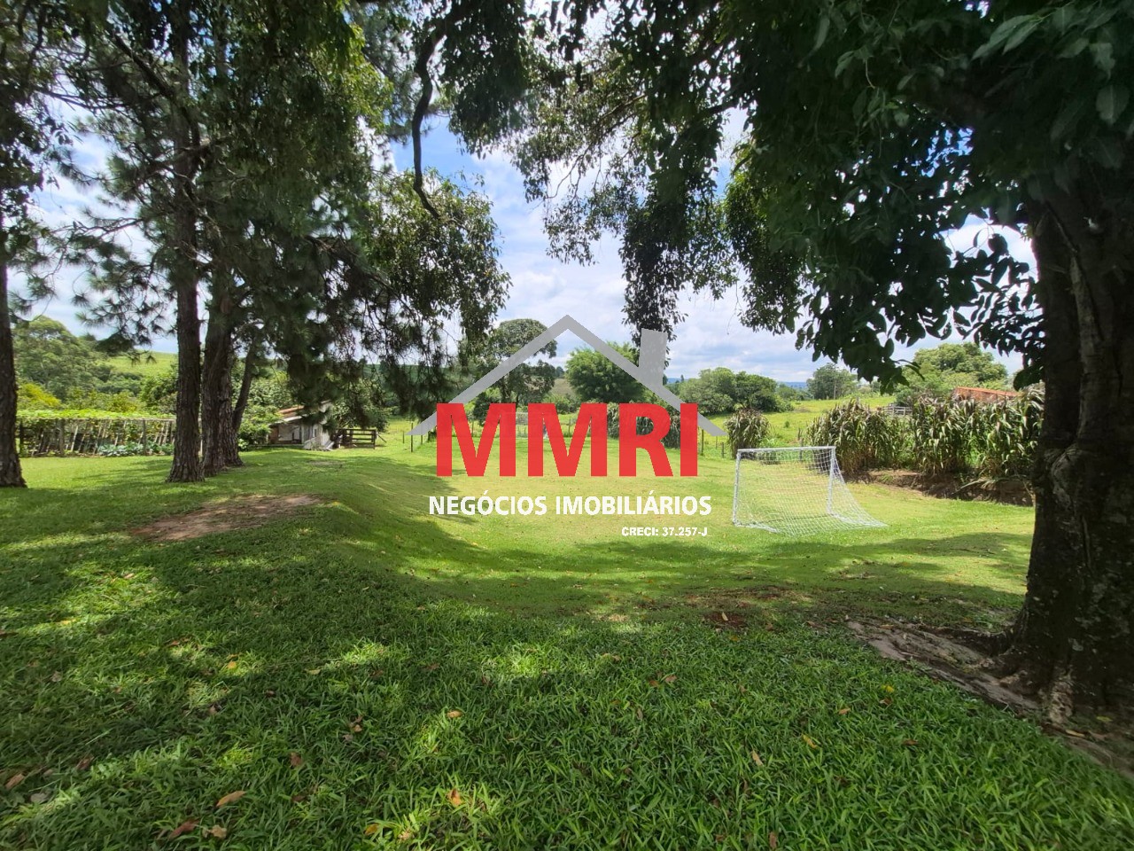 Sítio, 2 hectares - Foto 7