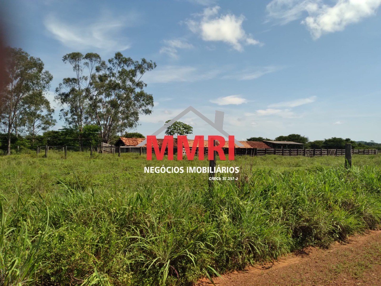 Fazenda, 8 hectares - Foto 23