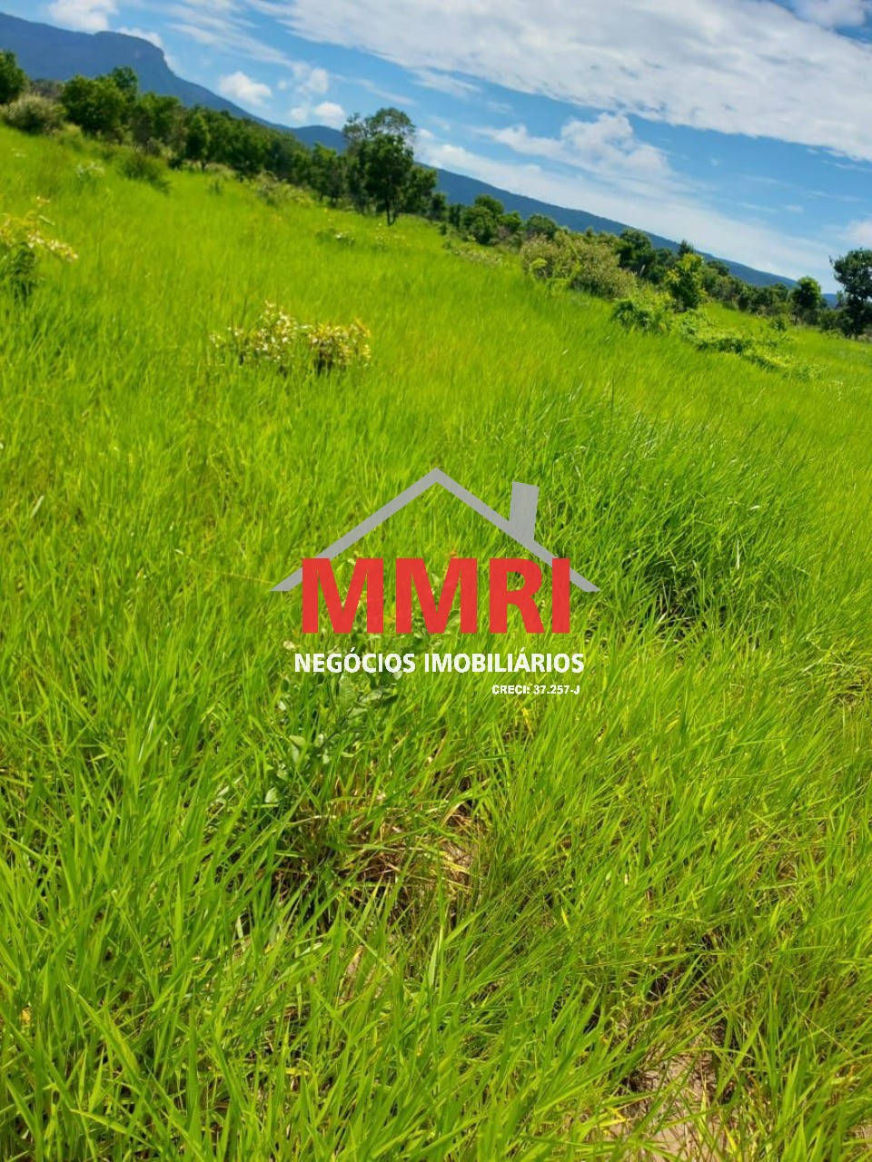 Fazenda, 512 m² - Foto 8