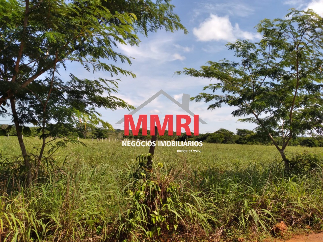 Fazenda, 8 hectares - Foto 29