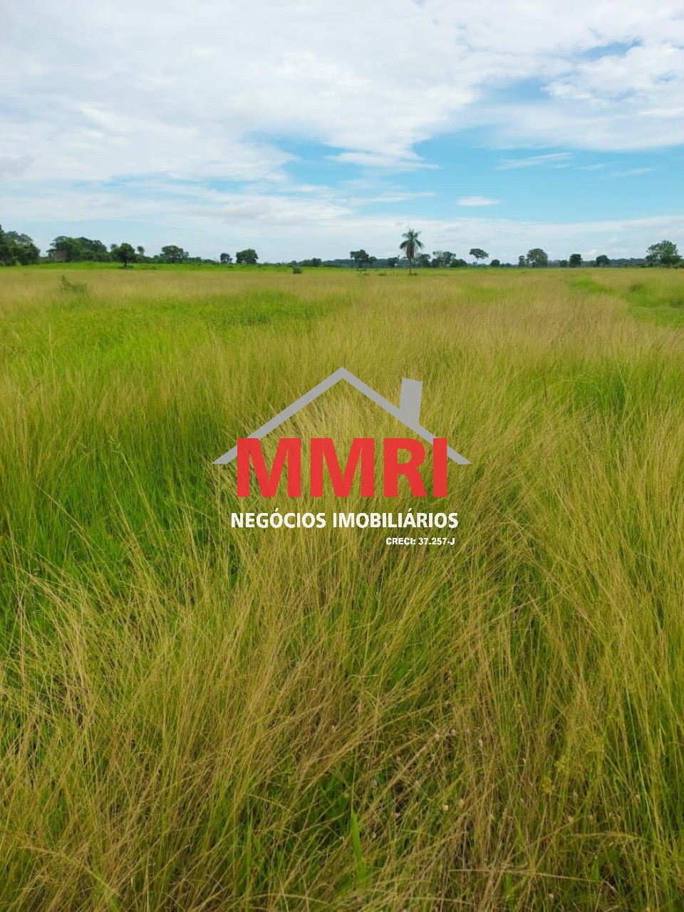 Fazenda, 512 m² - Foto 3