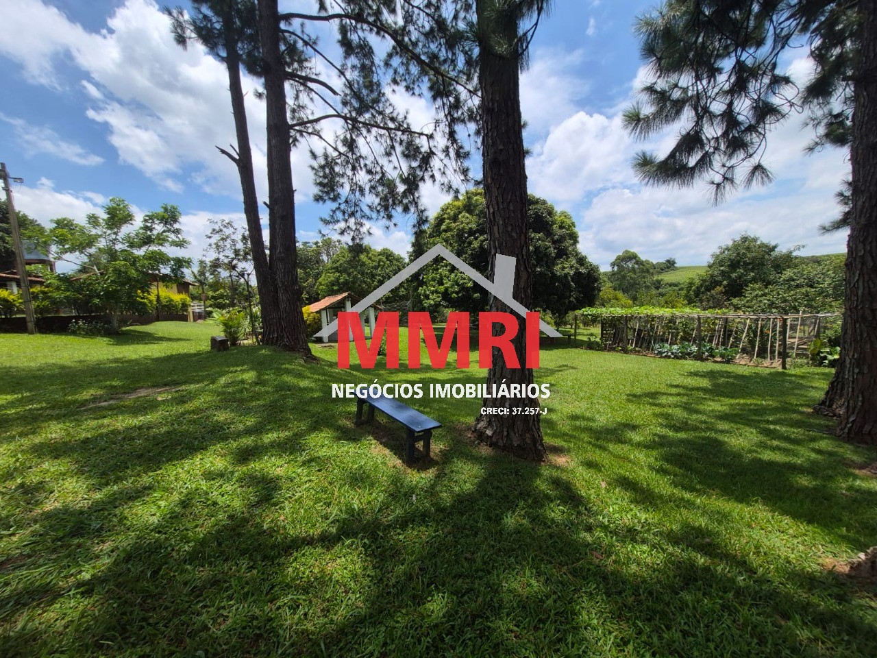 Sítio, 2 hectares - Foto 32