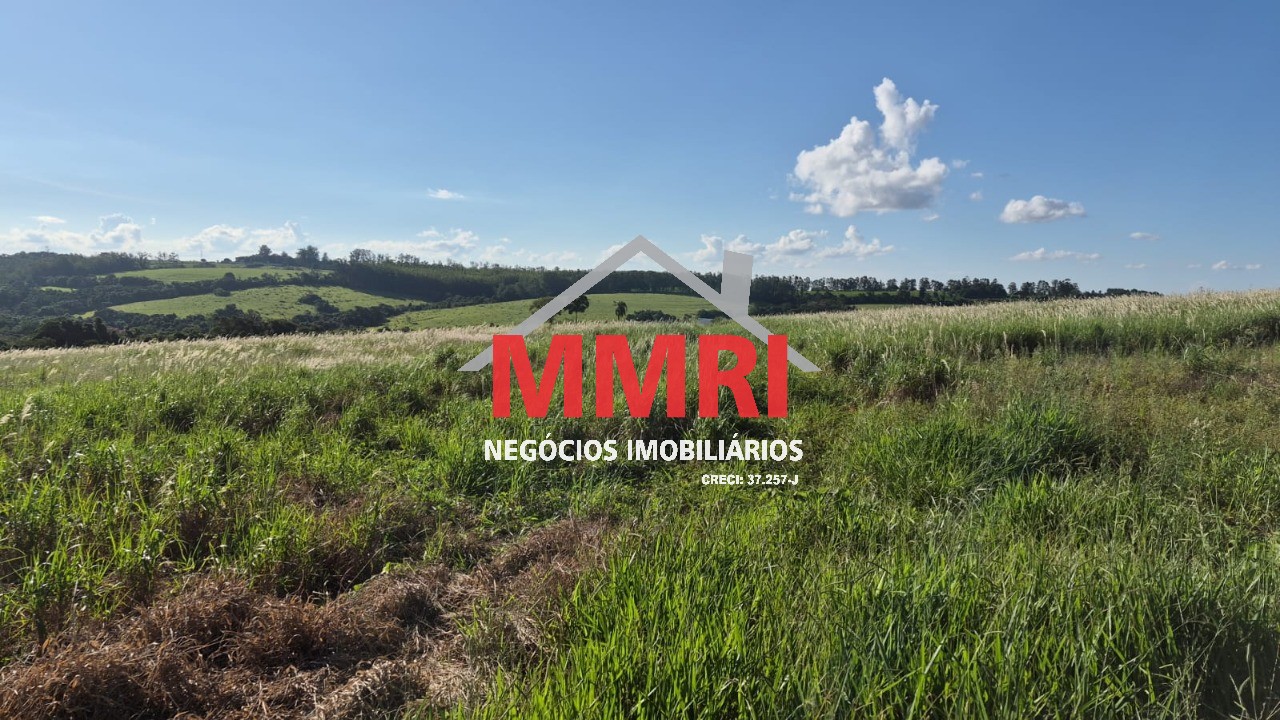 Sítio, 1 m² - Foto 6