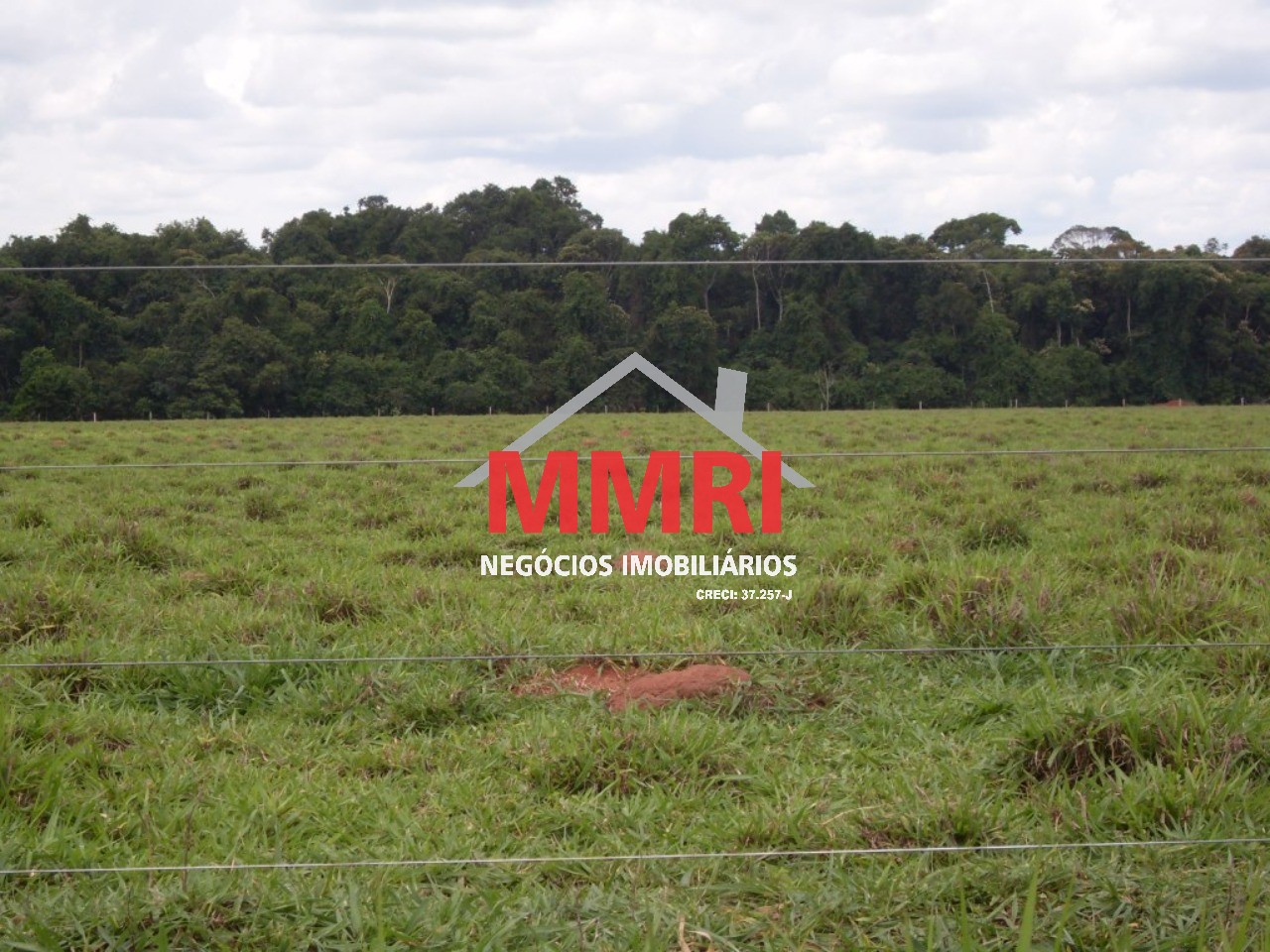 Fazenda, 8 hectares - Foto 27