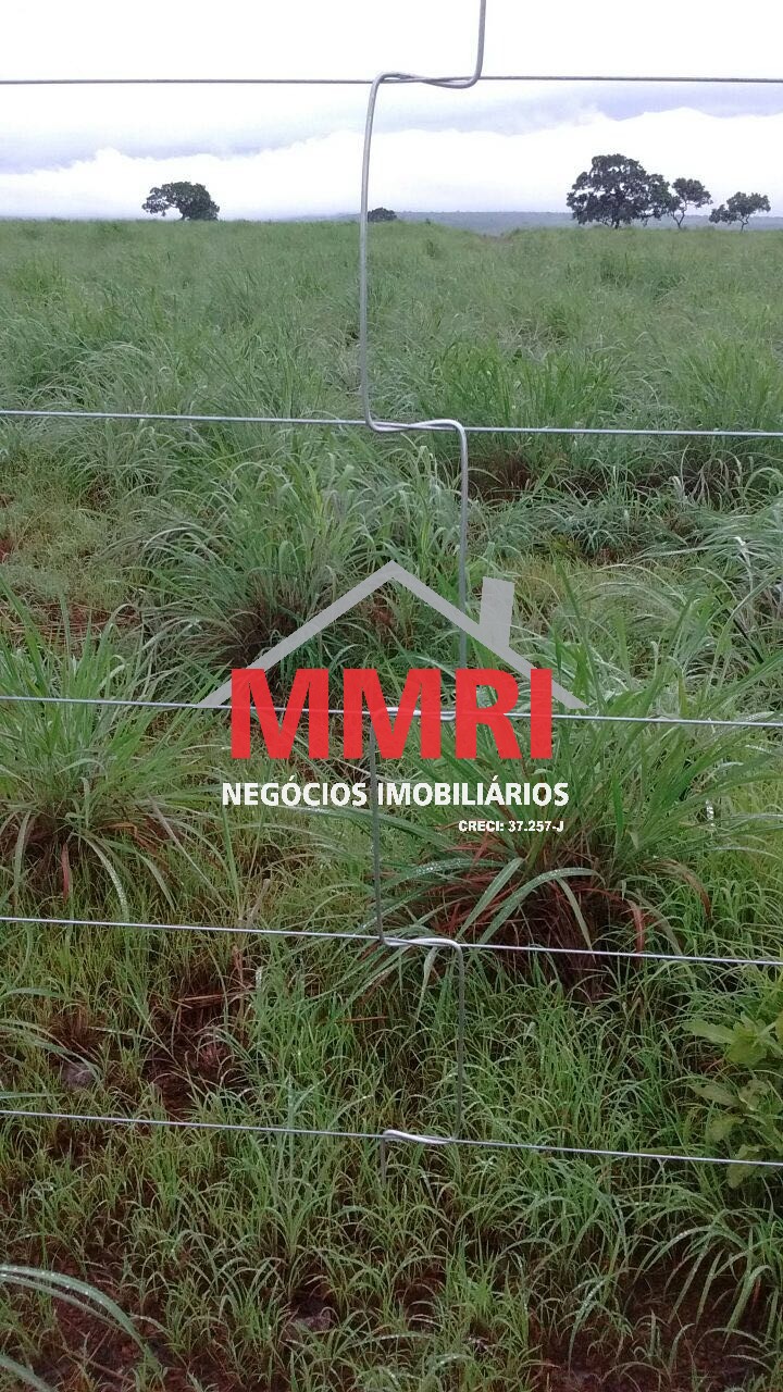 Fazenda, 8 hectares - Foto 30