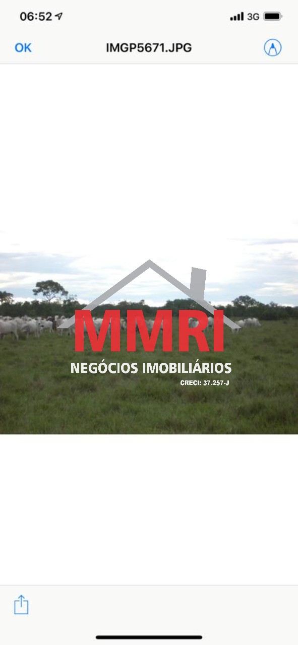 Fazenda, 8 hectares - Foto 16