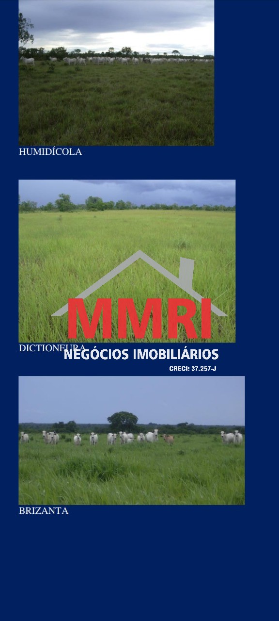 Fazenda, 8 hectares - Foto 12